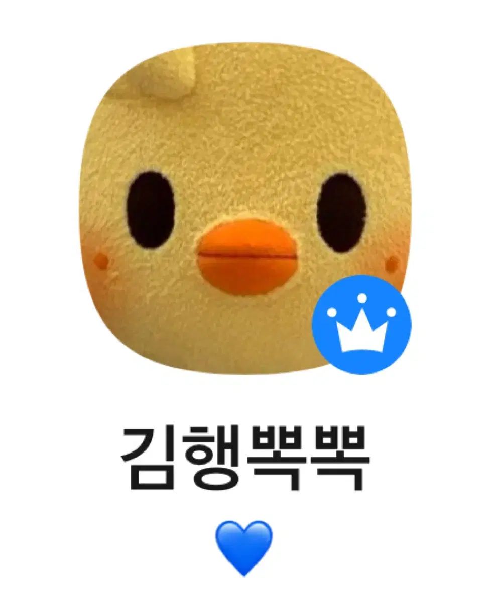 アイエン QR トレカ Stray Kids(ストレイキッズ・スキズ・SKZ) Do It