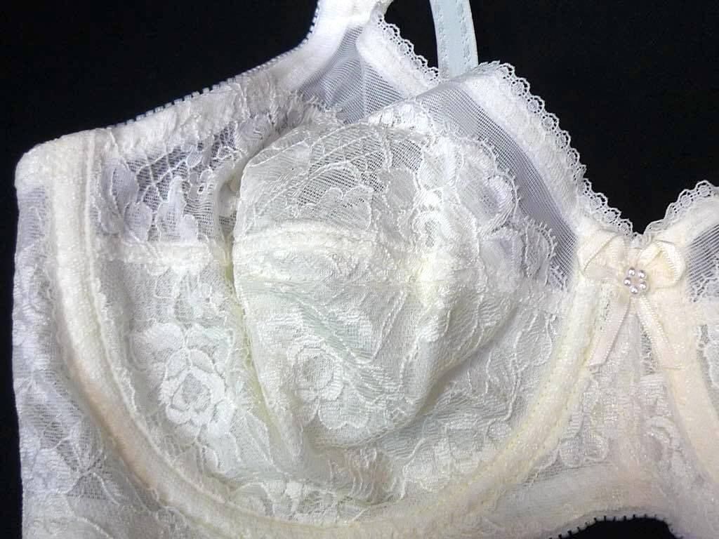 参考19800円 シャンデール シャルム 高級補正下着 ブラジャー ホワイト