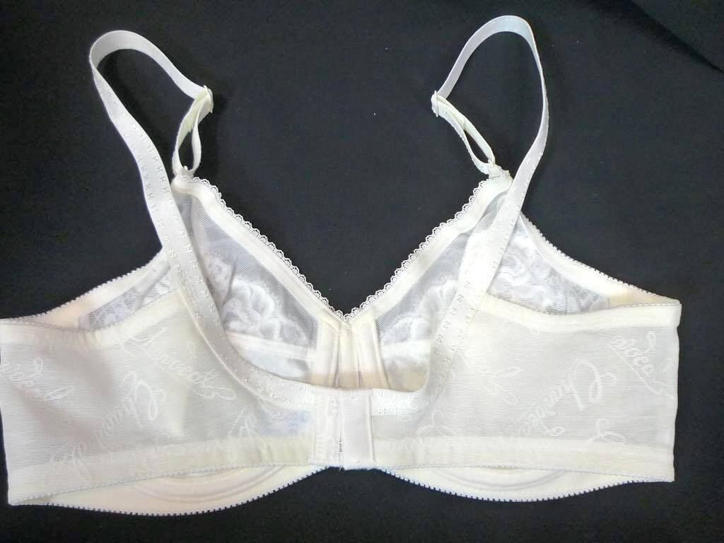 参考19800円 シャンデール シャルム 高級補正下着 ブラジャー ホワイト