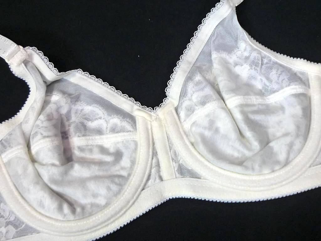 参考19800円 シャンデール シャルム 高級補正下着 ブラジャー ホワイト