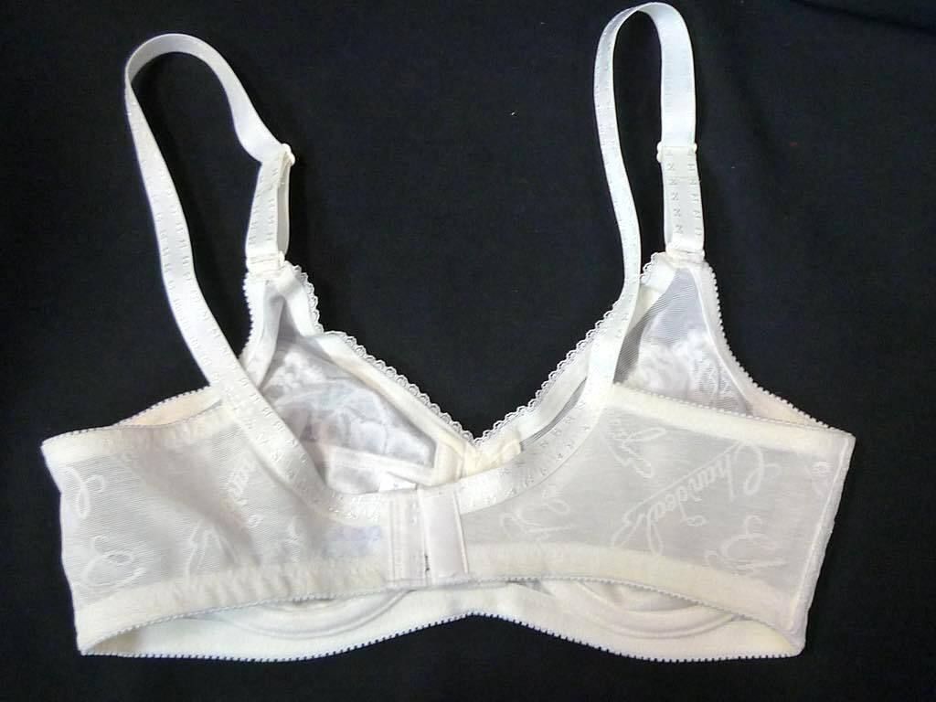 参考19800円 シャンデール シャルム 高級補正下着 ブラジャー ホワイト