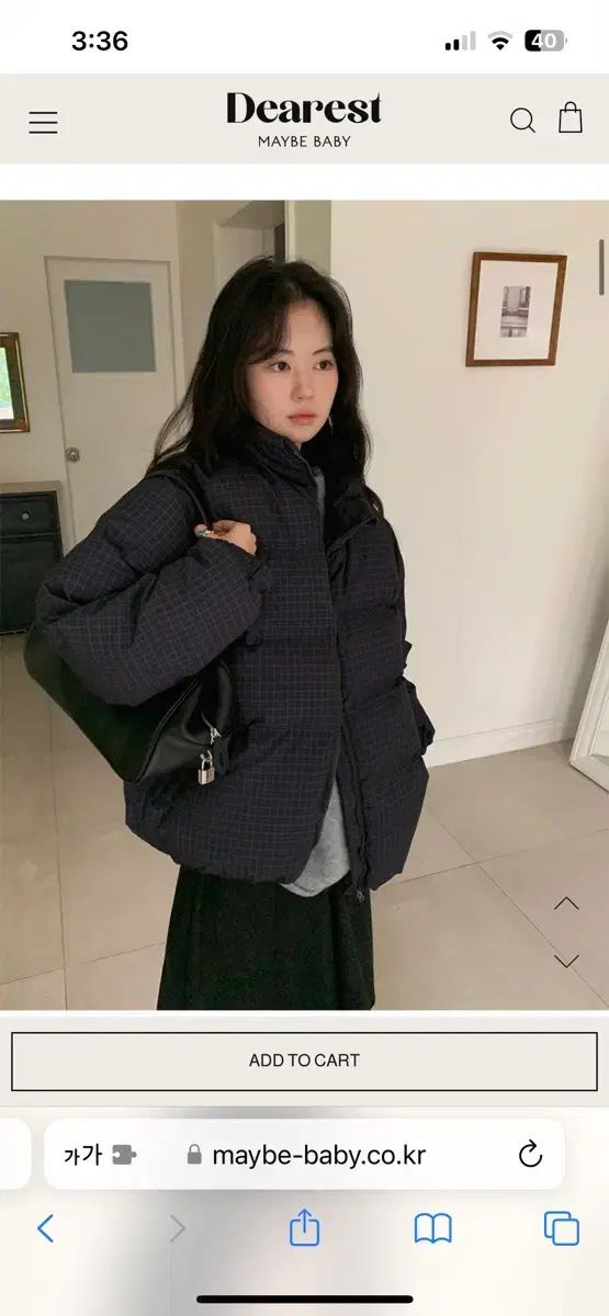 美術品・アンティーク・コレクション 立雛蒔絵 中棗 井筒寛斎造 茶道具