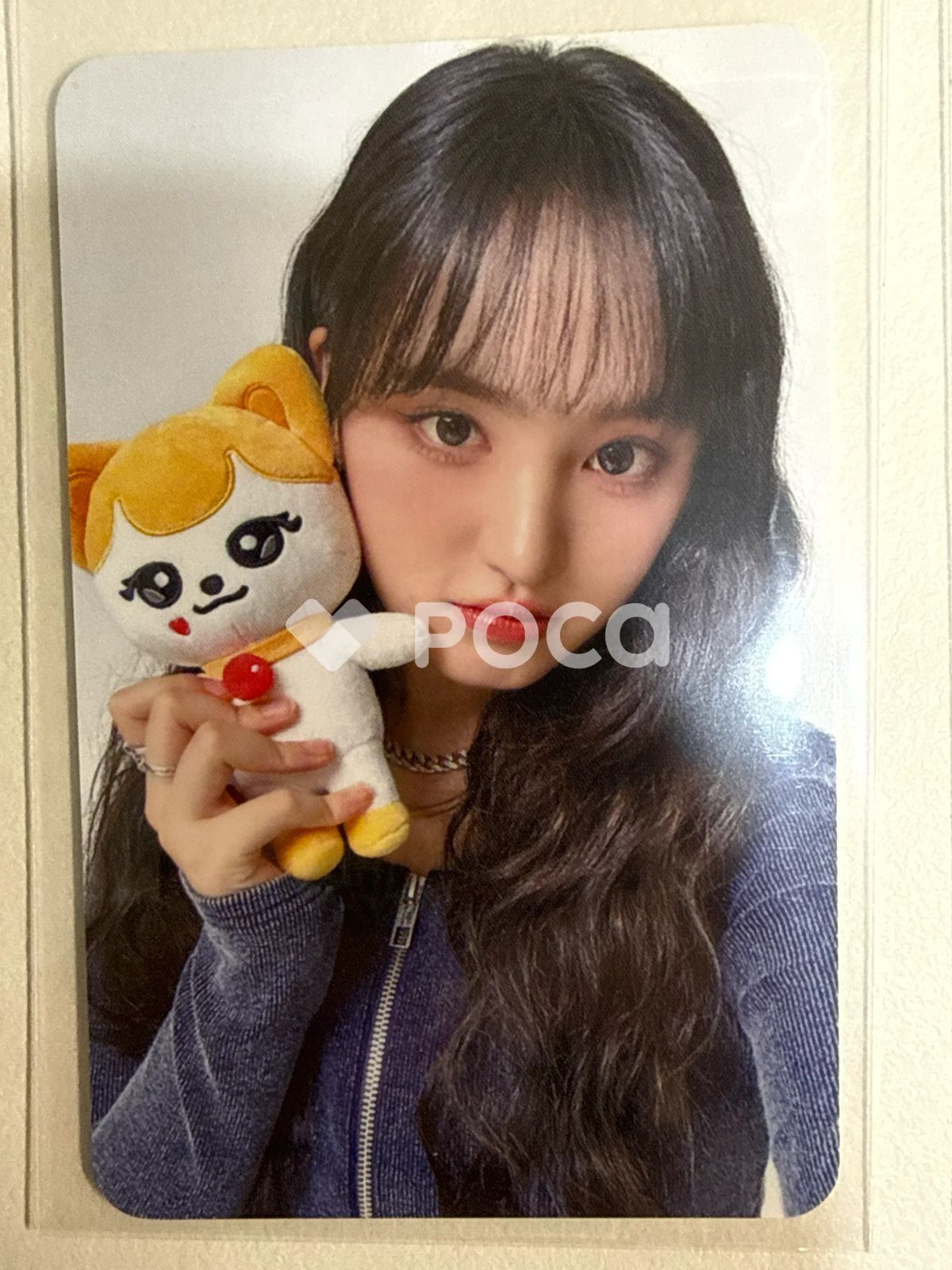 史上最大40cm 公式 minive ウォニョン メガクッション ぬいぐるみ Amazon.co.jp: IVE MVE メガ クッション ウォニョン チェリー