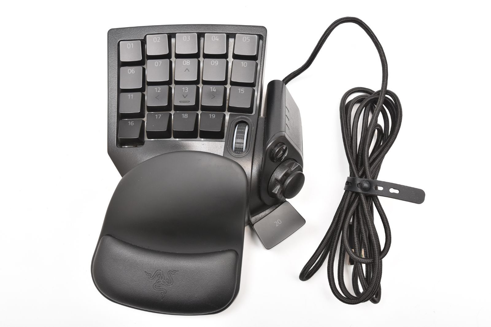 安藤岬 アクリル、グワッシュ板絵 「芙蓉花」