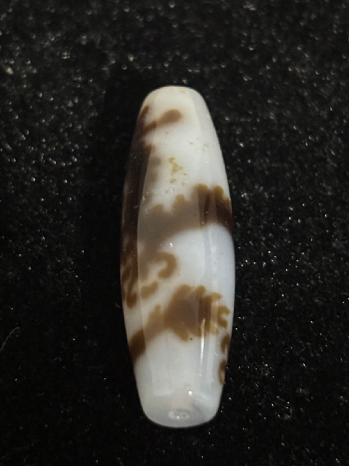 白五本爪龍神天珠