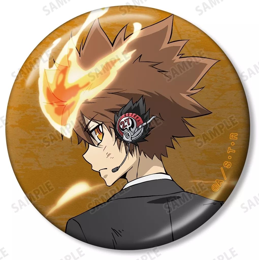 中古】バッジ・ビンズ 沢田綱吉 「家庭教師ヒットマンREBORN! 描き