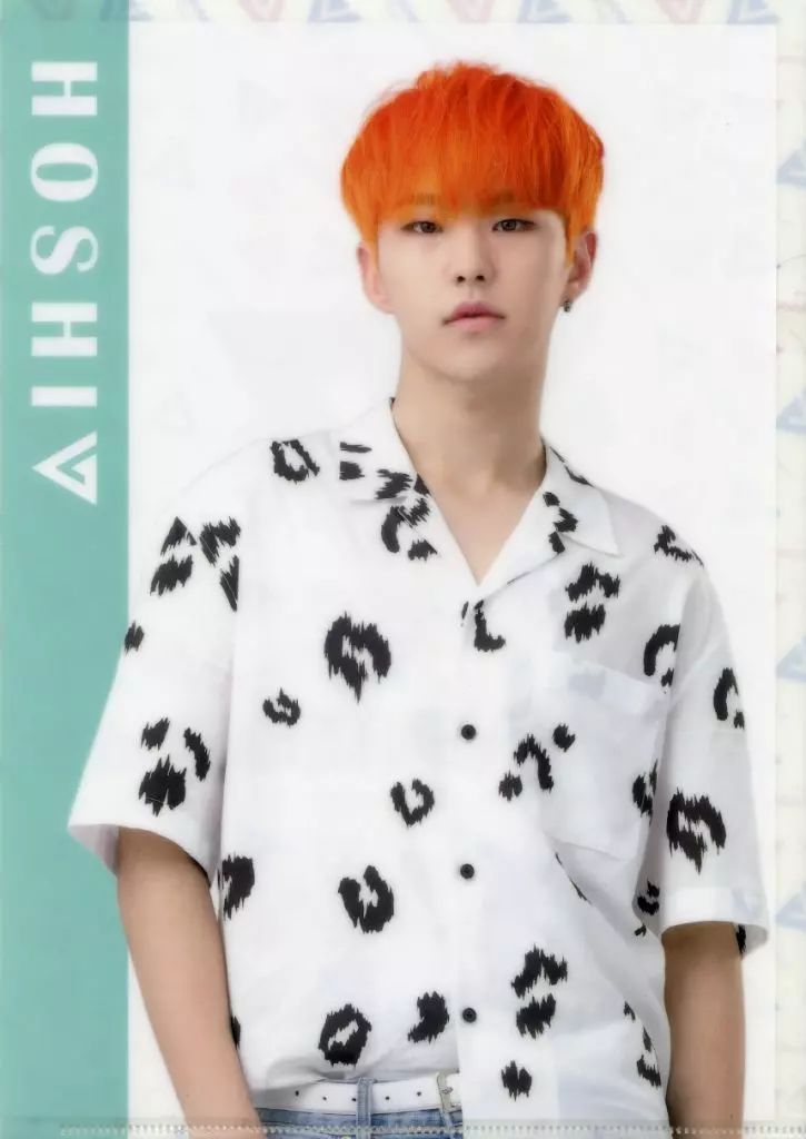 中古】クリアファイル(男性アイドル) [単品] ホシ A4クリアファイル