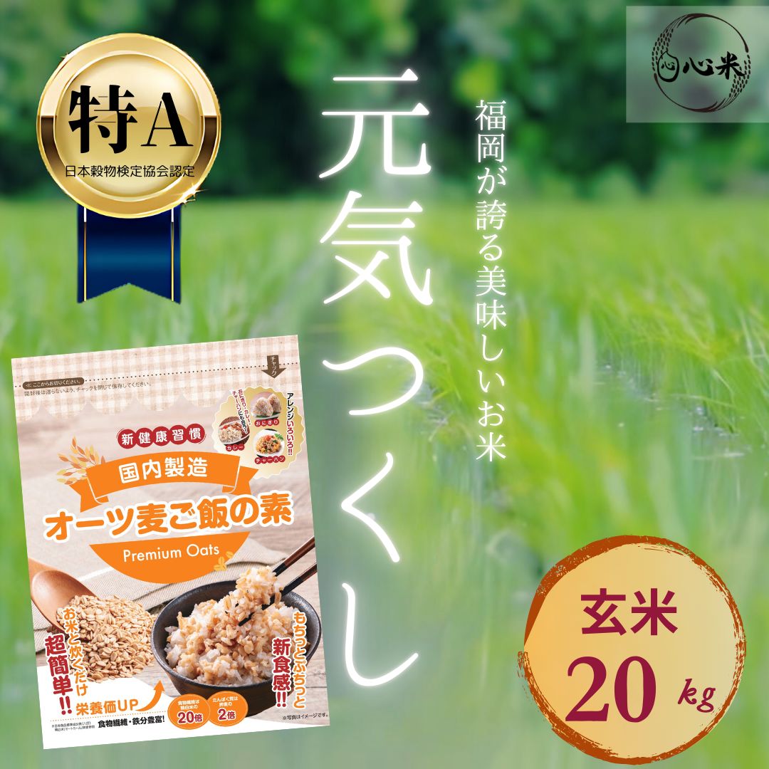 【お米×オートミールセット】福岡県産 元気つくし 玄米 20kg＋ オーツ麦ご飯の素400g｜お米に混ぜて炊くだけ｜国内製造・無添加｜低GI・置き換えOK｜低糖質・食物繊維たっぷり｜もちっと食感・栄養アップ｜ダイエットにも