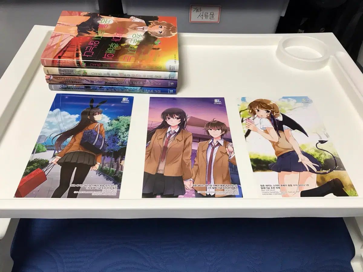 ラノベ ライトノベル 小説 デニム 青春 ブタシリーズ 漫画本 コミックス 1-4巻 オール初版