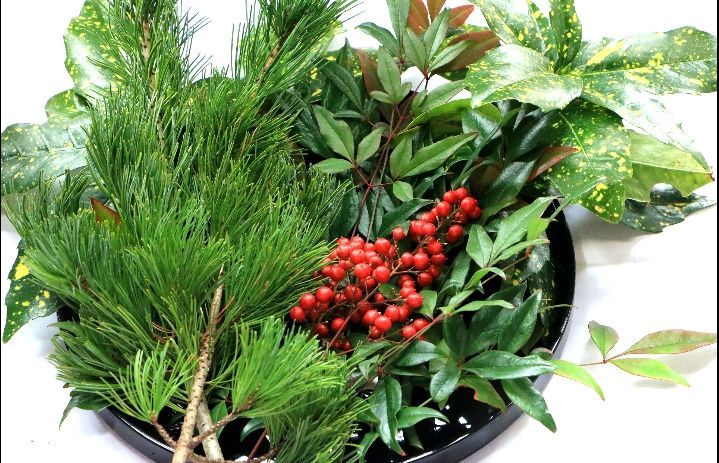迎春セット 南天の実 南天の葉 松葉 アオキ 新春 縁起物 お正月飾り