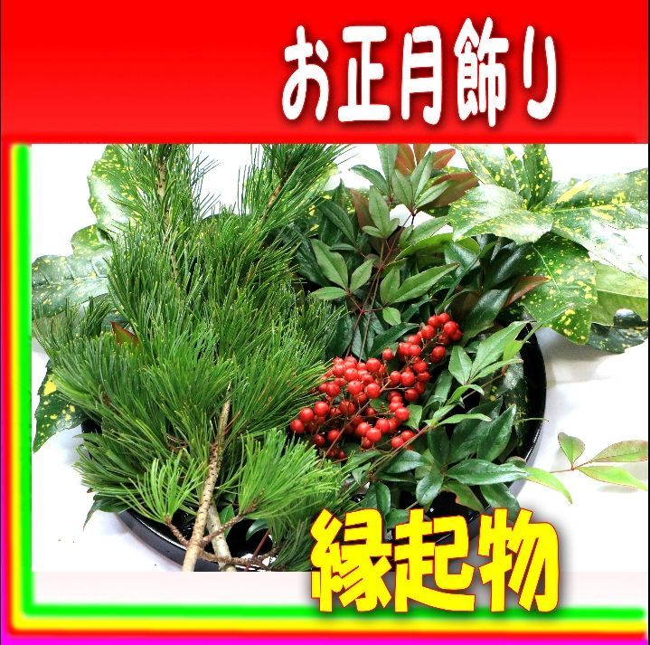 迎春セット 南天の実 南天の葉 松葉 アオキ 新春 縁起物 お正月飾り