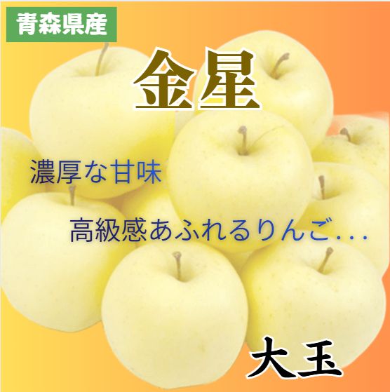 OnlyOneOf メンバー全員 直筆サイン入りポラロイド