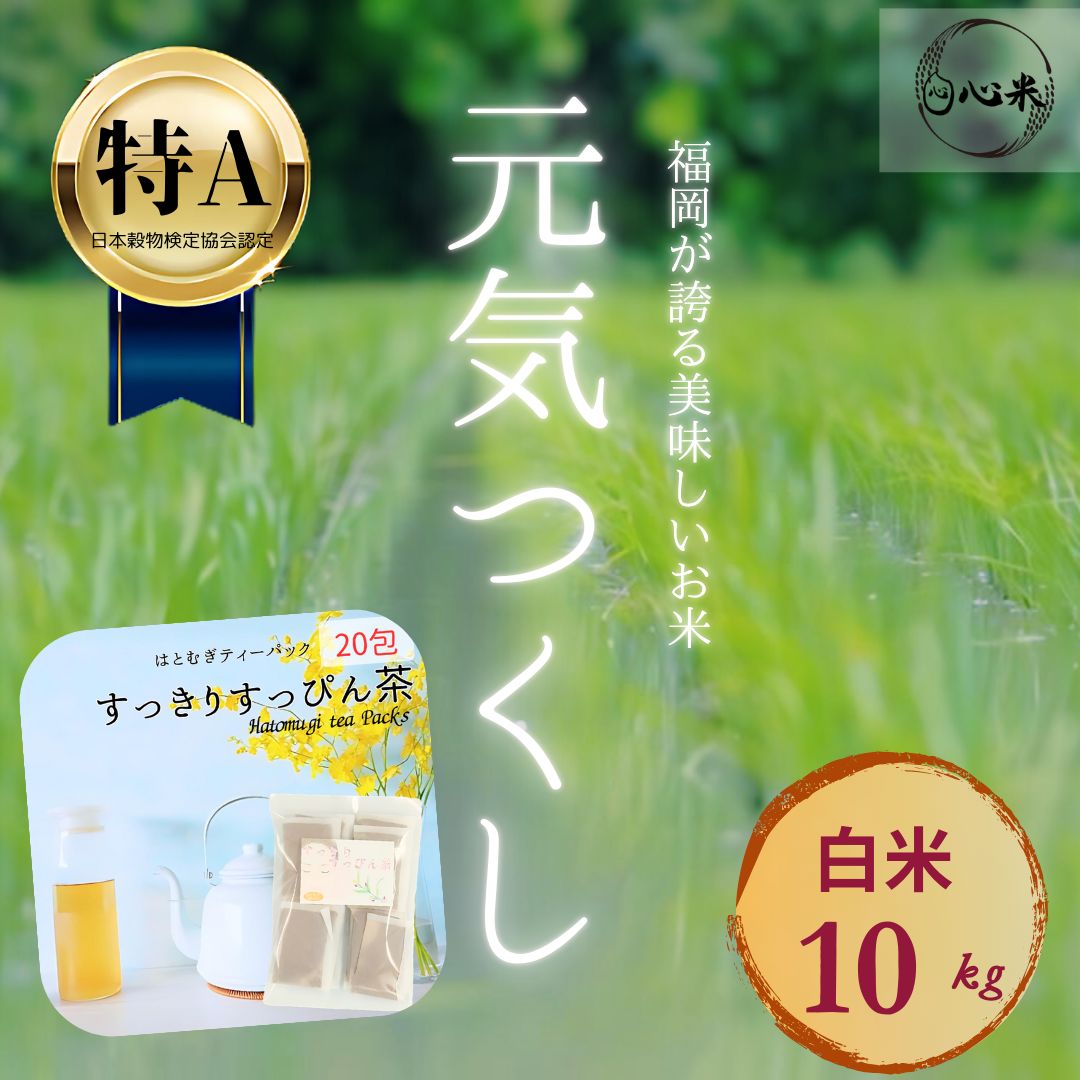 ヒナラン（貴重品） 【公式通販】