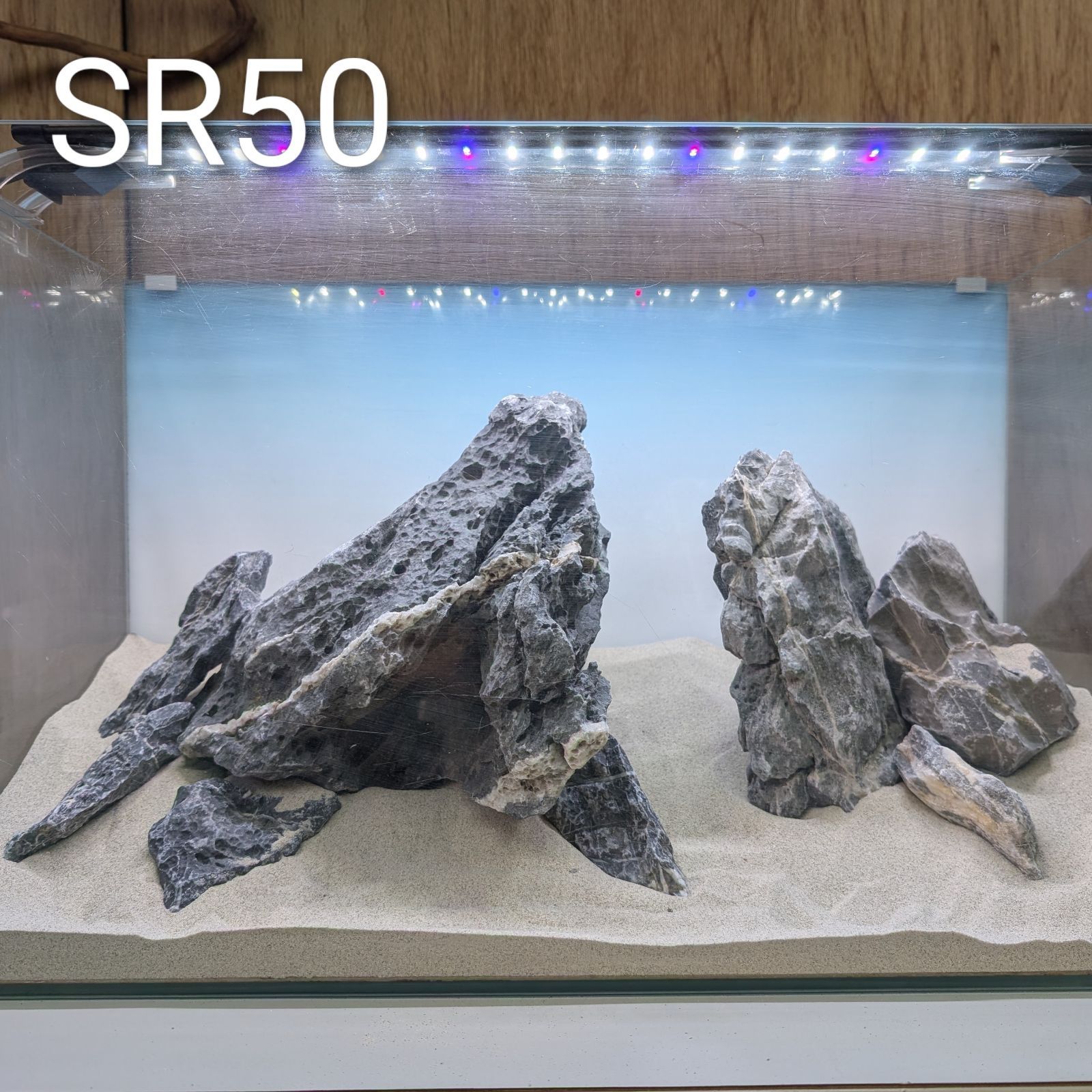 青龍石❀酸処理済み｜SR50｜60cm水槽用レイアウト｜石組レイアウト