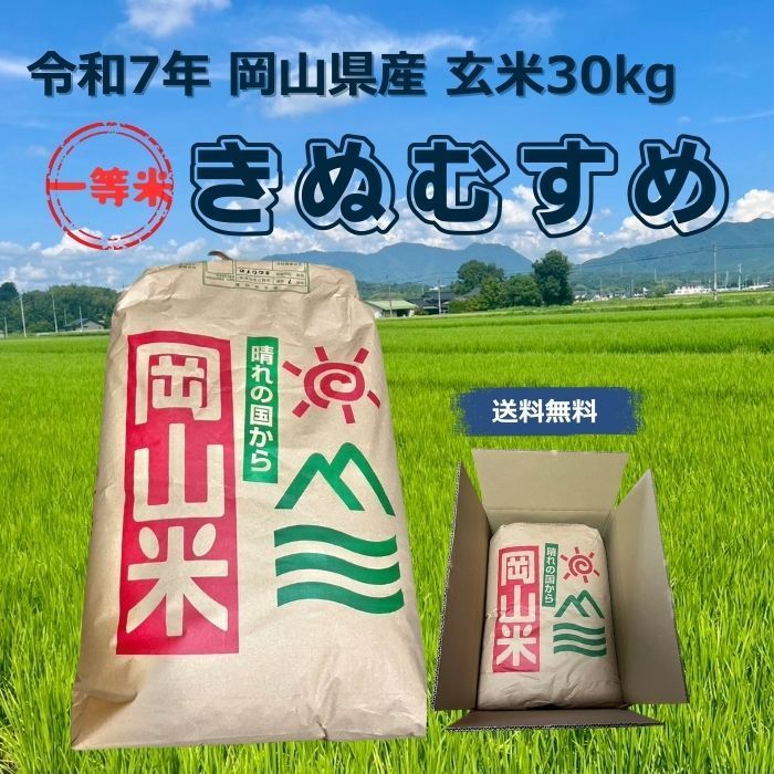 特A】令和7年産 岡山県産 きぬむすめ 玄米30kg - メルカリ