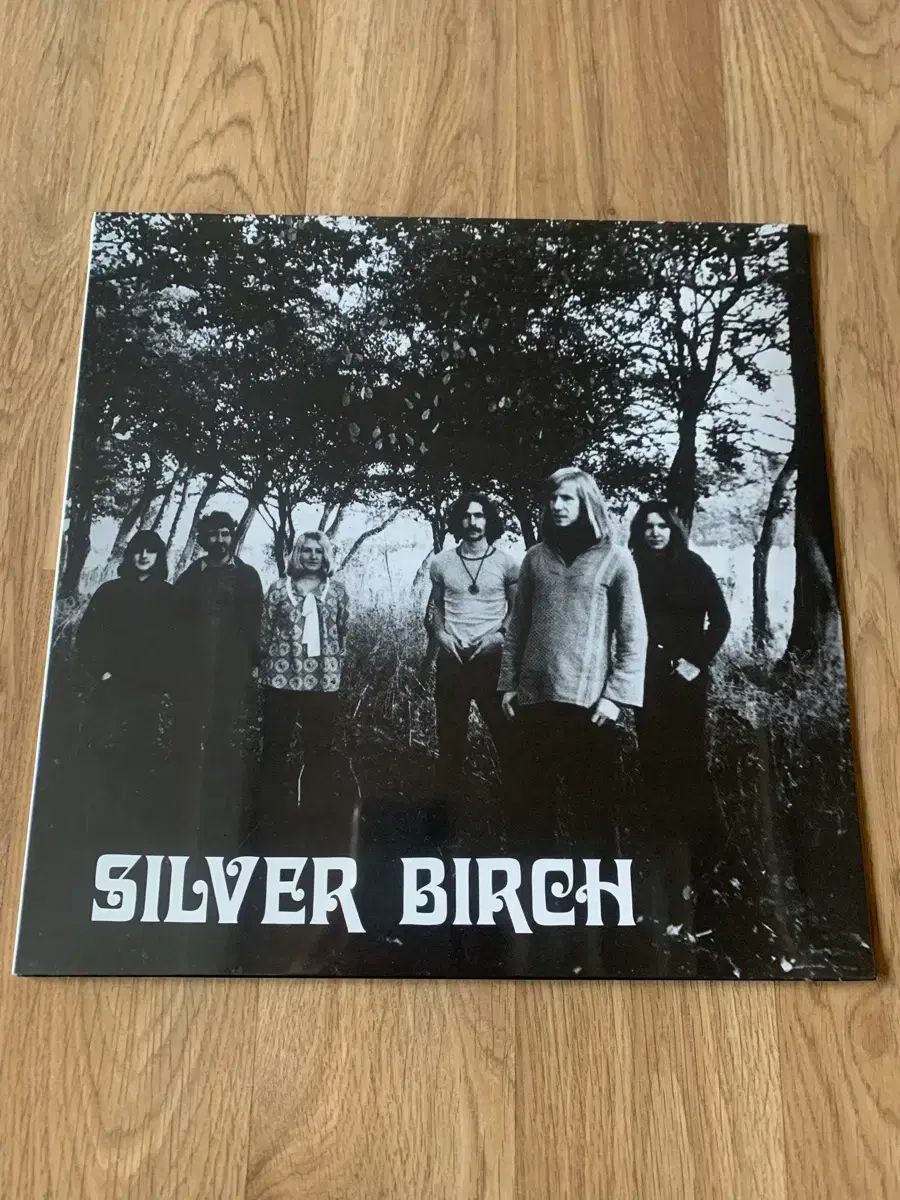 シルバー バーチ SILVER BIRCH LP アルバム