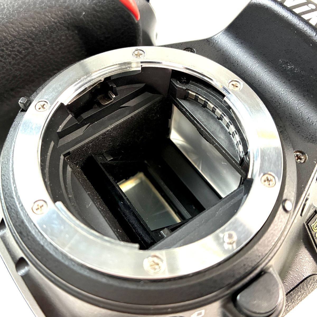 ボディ デジタル