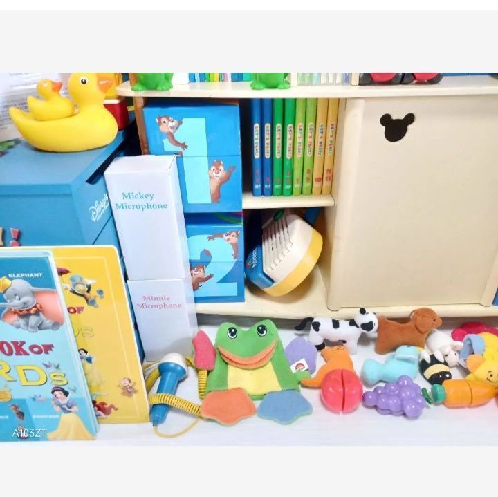 2017年正規購入 新子役版DVD DWE 未使用多数 最上級 ディズニー英語