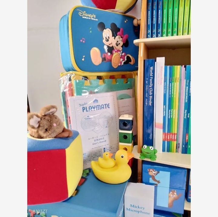 2017年正規購入 新子役版DVD DWE 未使用多数 最上級 ディズニー英語