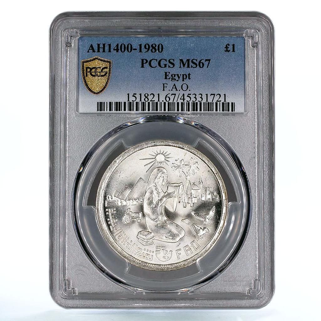 エジプト 1ポンド FAO 読書する女性 2羽の鳥 トラクター MS 67 PCGS 銀貨 1980年