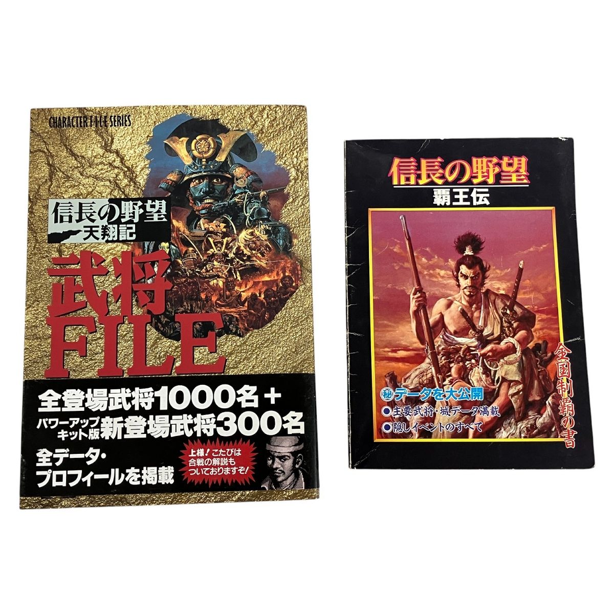  KOEI 信長の野望 天翔記 全国版 歴史シミュレーションゲーム ブック おまとめ その他 テレビゲーム