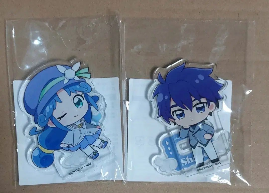 シンビ SINB 星の双子 プリンセス COOGI クージー YOUTH IN THE SHADE Ver. レイン アクリルスタンド