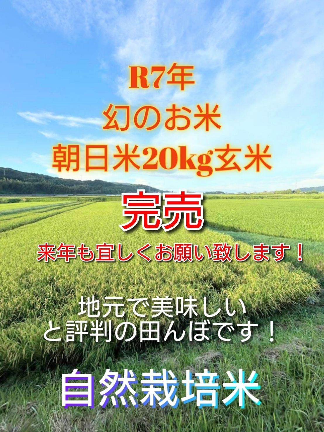 R7年 自然栽培米 朝日米20kg玄米 【公式通販】 R7年 自然栽培米 朝日米20kg玄米 【公式通販】