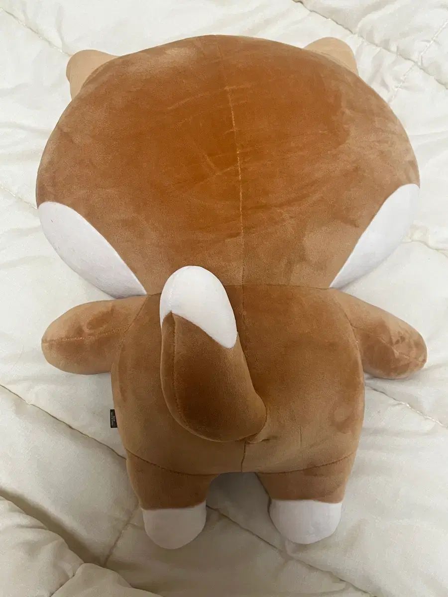 あずまんが大王 ジャイアント DAY 6 デイシックス デニマルズ DENIMALZ ケ