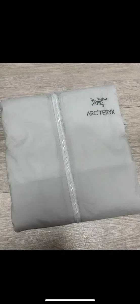 アークテリクス Atom SL フーディ ソリチュード