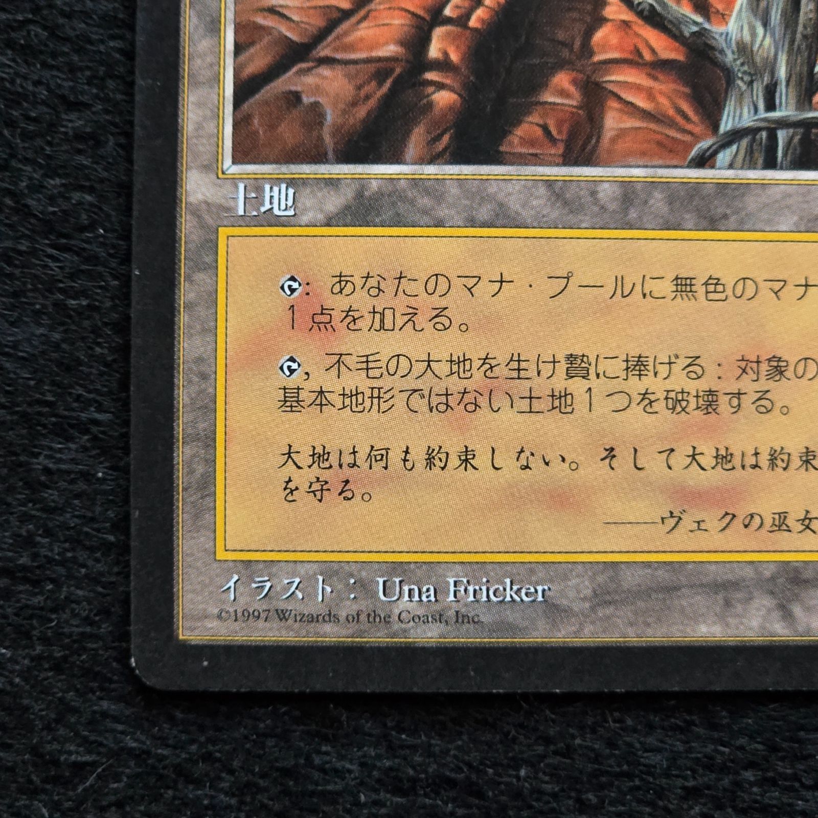 MTG 不毛の大地 Wasteland 日本語 黒枠 テンペスト - メルカリ