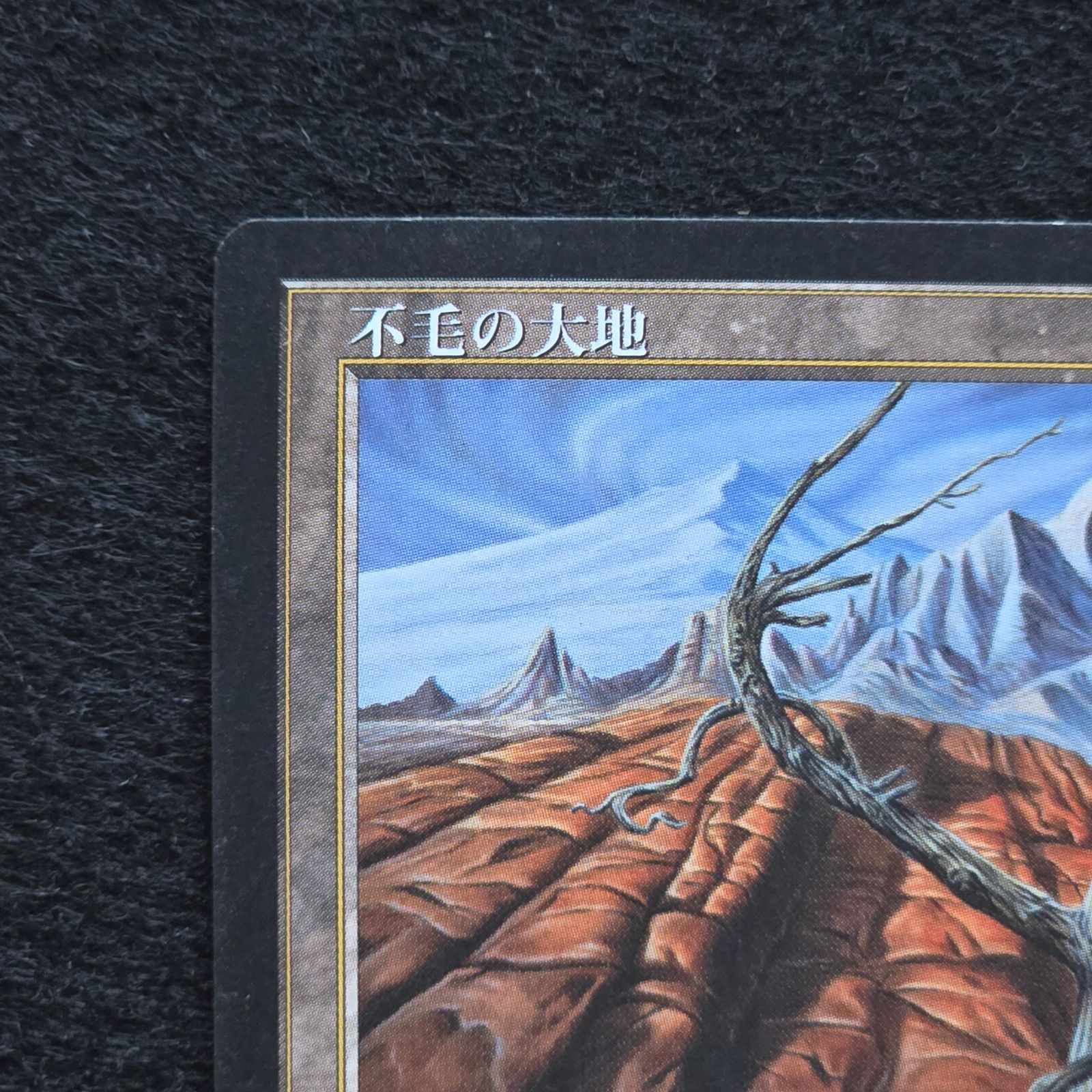 MTG 不毛の大地 Wasteland 日本語 黒枠 テンペスト - メルカリ
