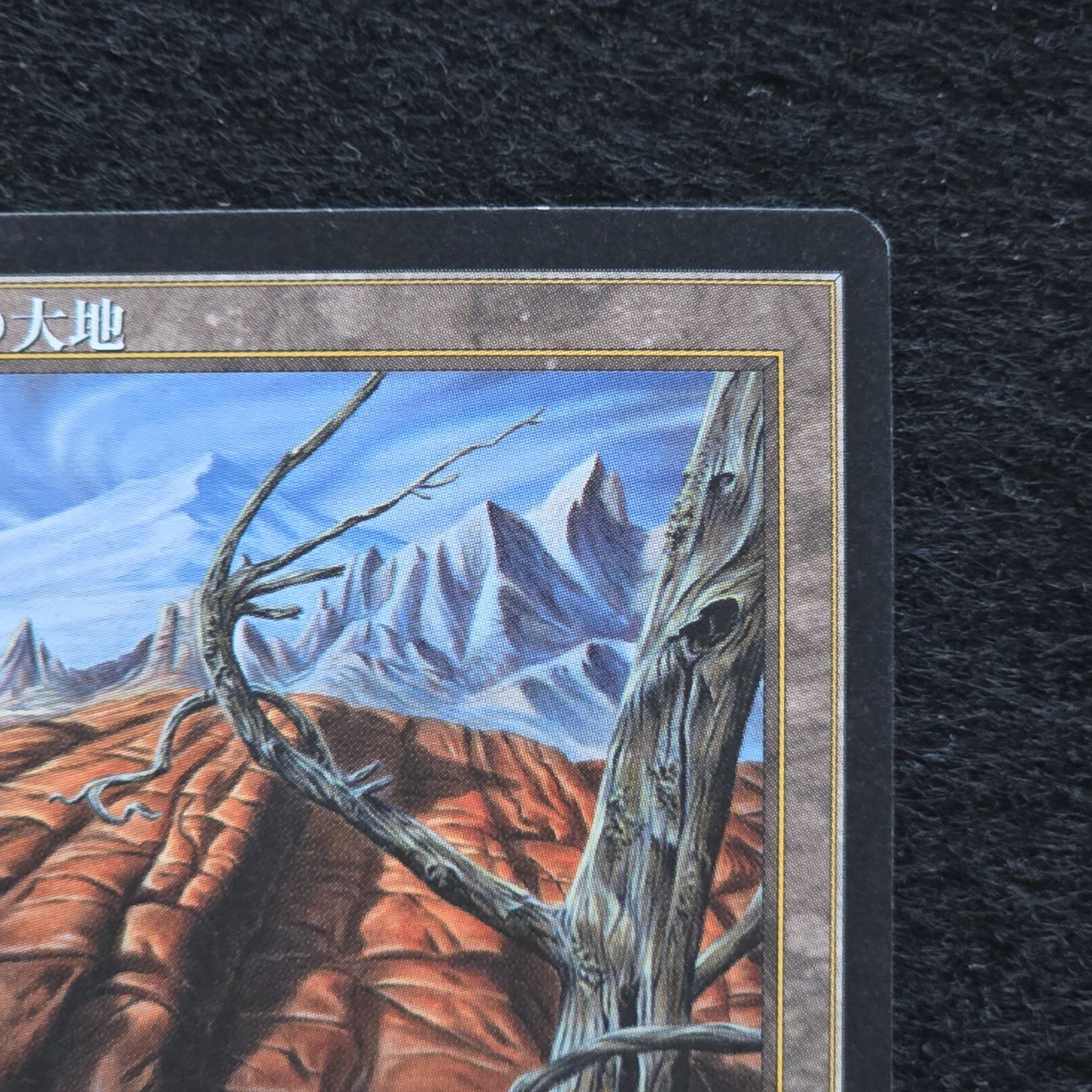 MTG 不毛の大地 Wasteland 日本語 黒枠 テンペスト - メルカリ