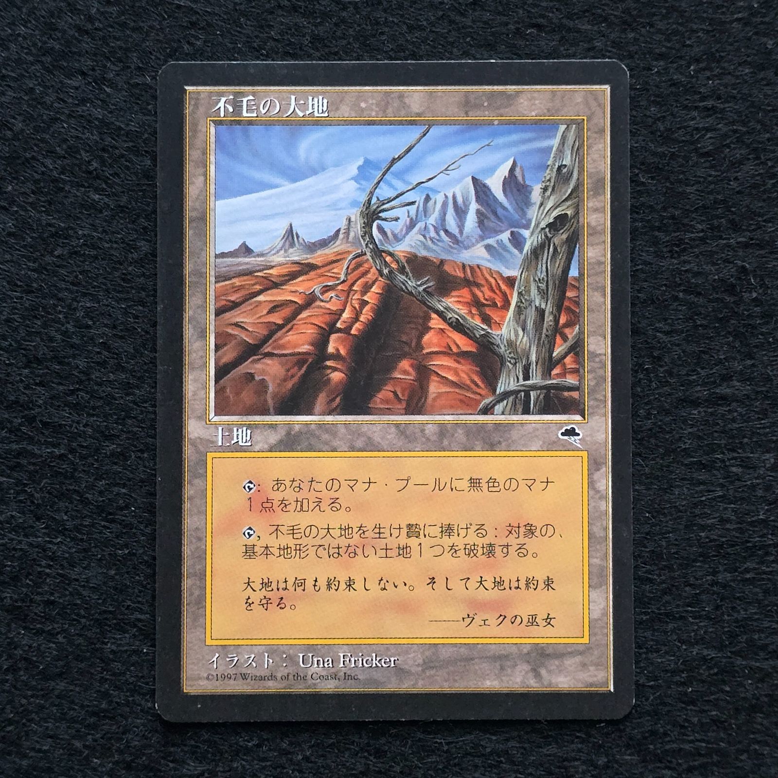 MTG 不毛の大地 Wasteland 日本語 黒枠 テンペスト - メルカリ