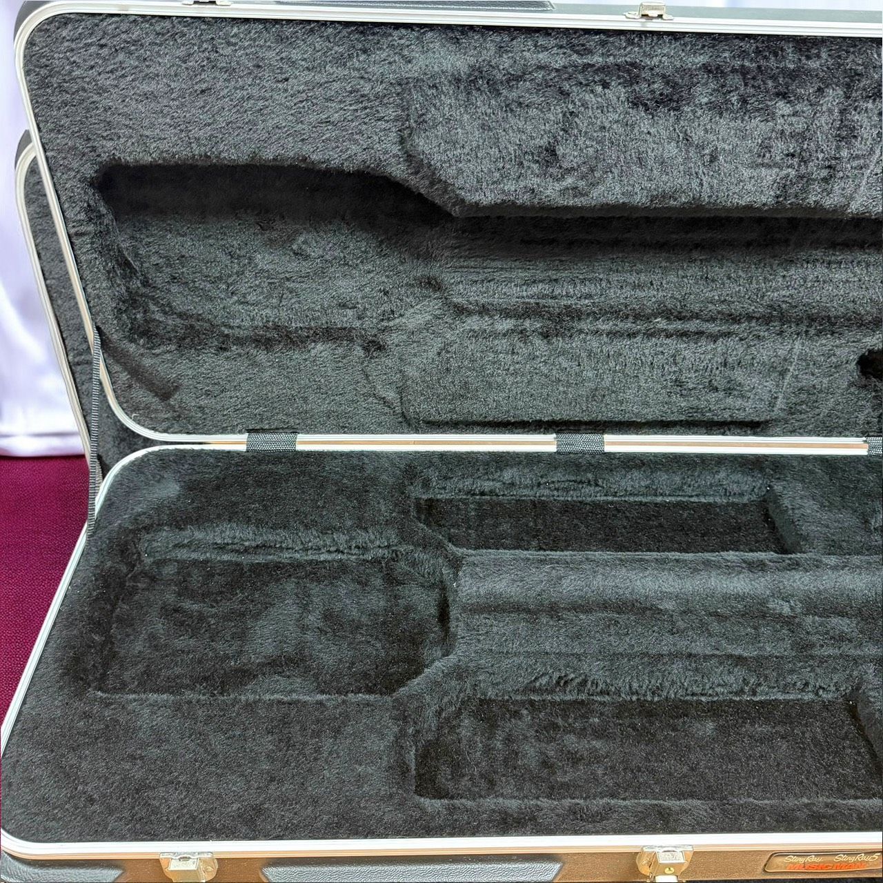 ☆送料無料 希少 良品 MUSICMAN Stingray 5用 ハードケース