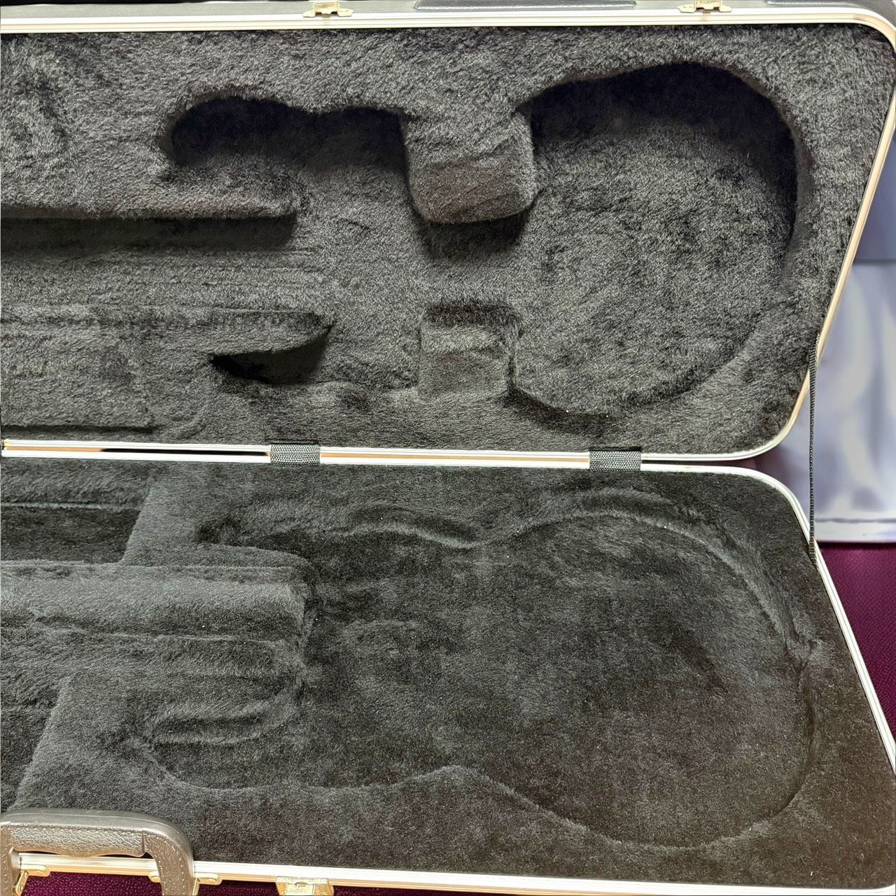 ☆送料無料 希少 良品 MUSICMAN Stingray 5用 ハードケース