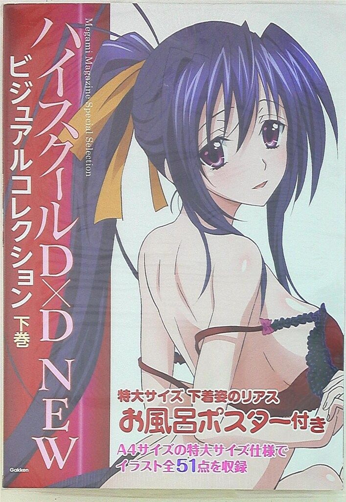 学習研究社 メガミマガジン セレクション ハイスクールD×D ビジュアル 下巻