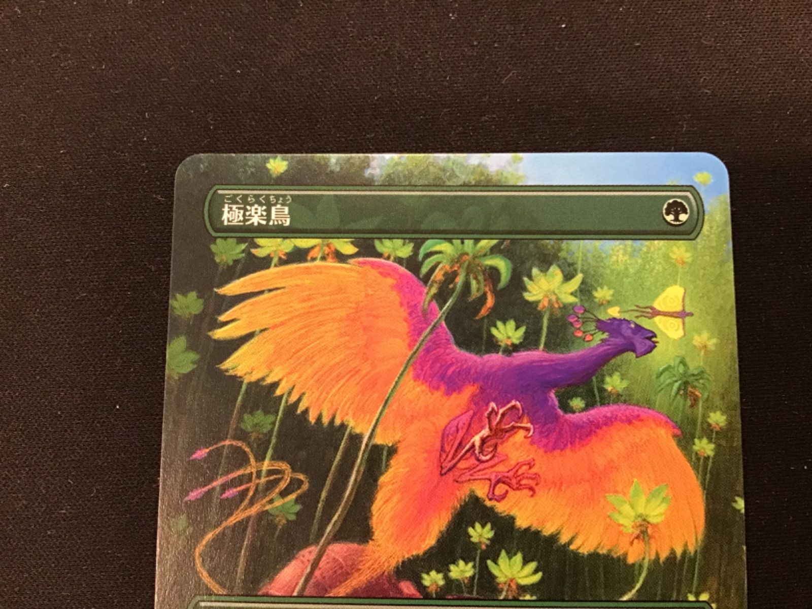MTG】極楽鳥 5 - メルカリ