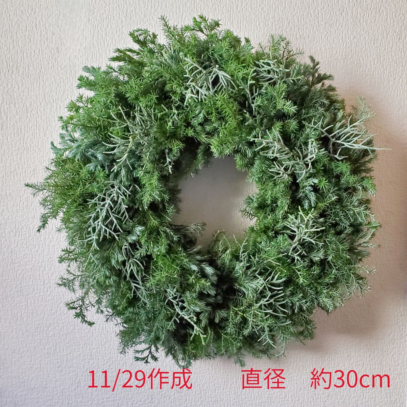 ふわふわ3種類のコニファーリース ヒムロスギ ブルーバード 針葉樹