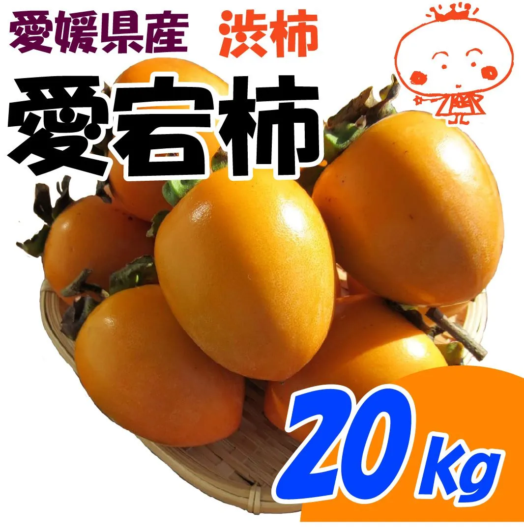 食品 【愛媛県産】訳あり込み 柿 かき あたご 愛宕柿 20kg 徳用 傷