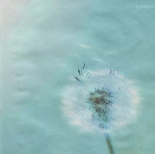 邦楽 FLOWER 中古】邦楽CD b-flower / b-flower(廃盤) - メルカリ
