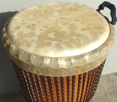 マホガニー製ジャンベ（ジェンベ）☆上級モデル☆Lサイズ(12インチ
