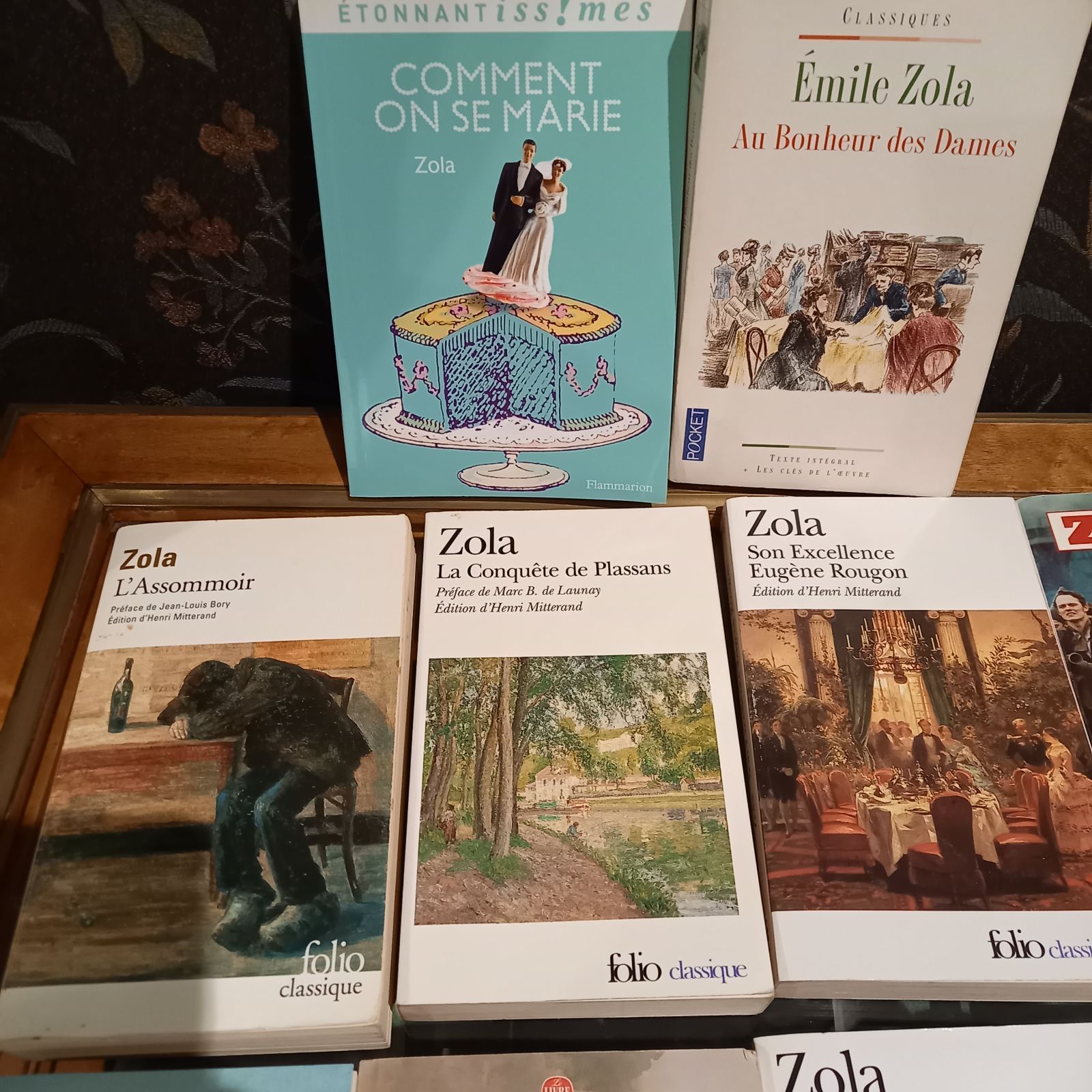 フランス語 洋書 ゾラ 古書 １１冊セット