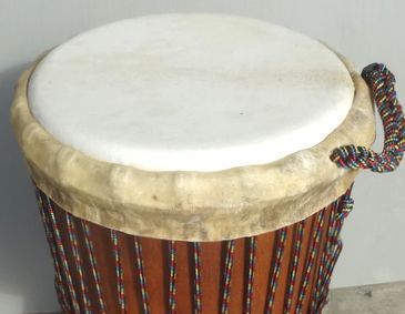 マホガニー製ジャンベ ジェンベ 上級モデル MLサイズ Ｃ H 55 cm