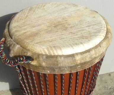 マホガニー製ジャンベ ジェンベ 上級モデル MLサイズ Ｄ H 55 cm