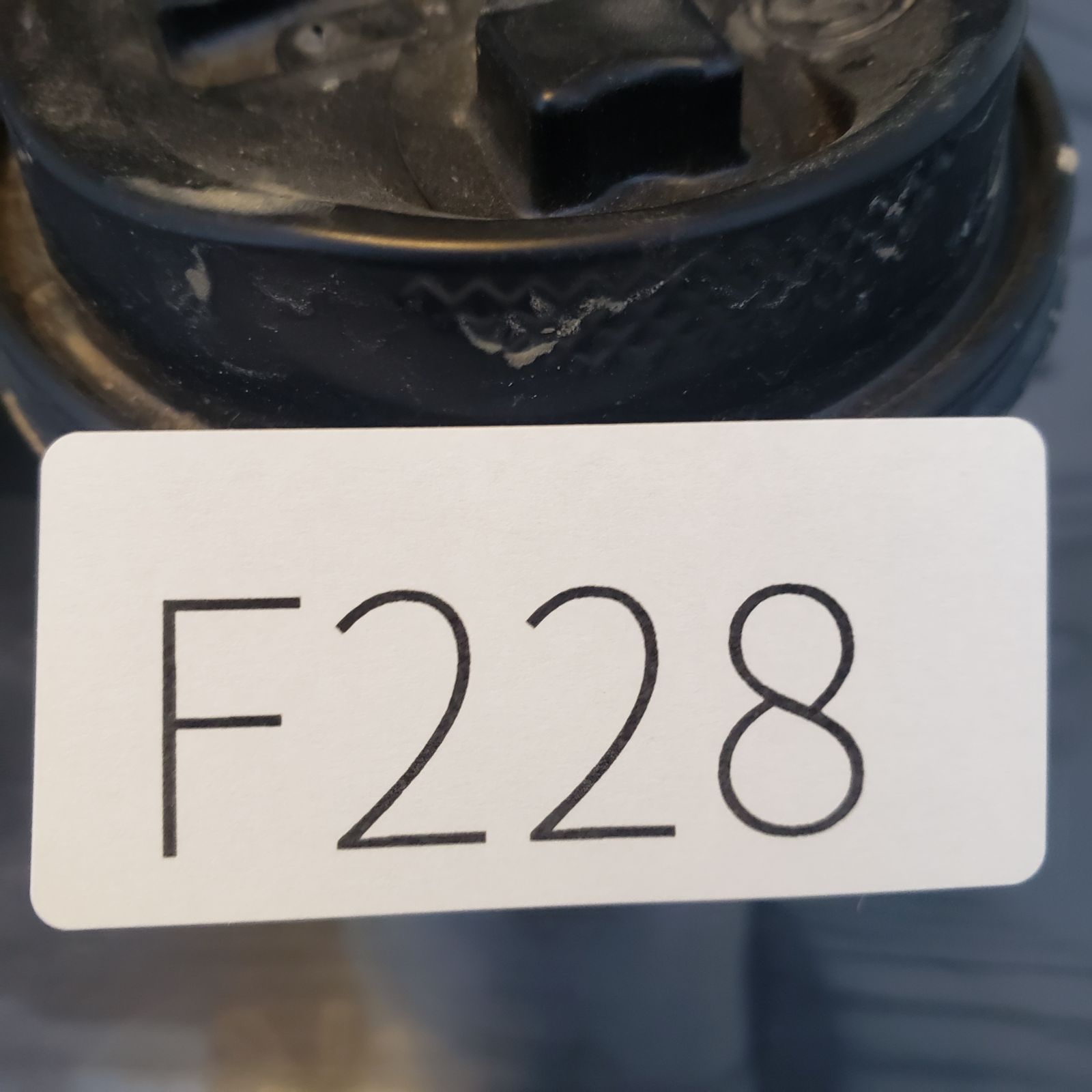 F228【自社養生株】イポメア ボルジアーナ（現地球・発根株・鉢植え