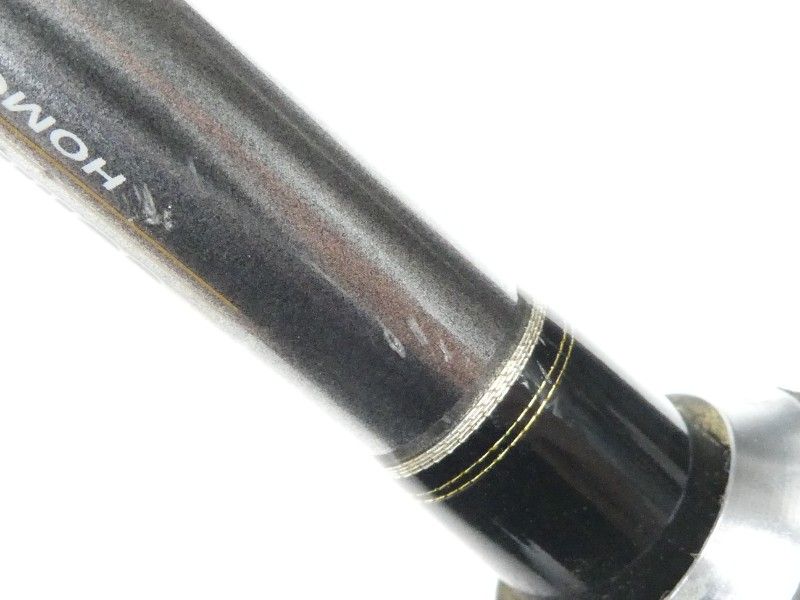 エバーグリーン