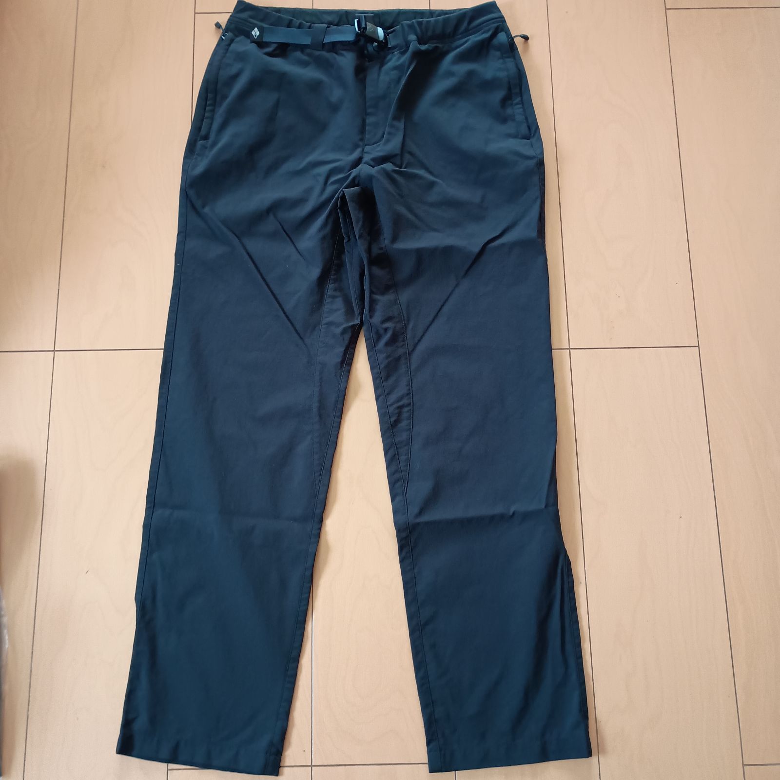 35mm♂】スハンダエオウサマムカシタマムシCalodema suhandae