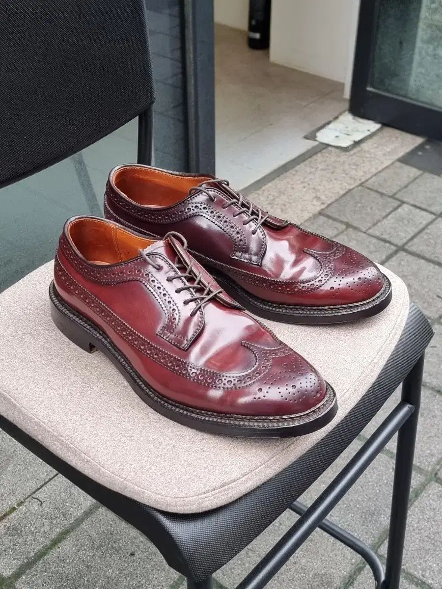 ALDEN 975 7D コードバン 8COLOR ウイングチップ THE B オールデン975