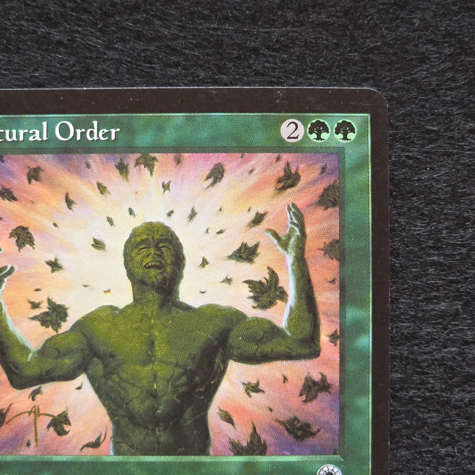 マジック:ザ・ギャザリング 自然の秩序 NaturalOrder 英語版 黒枠