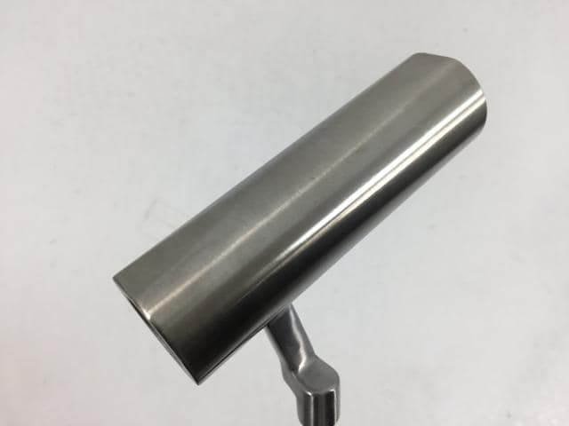 ブセファランドラ Bucephalandra sp 割引 Aurora